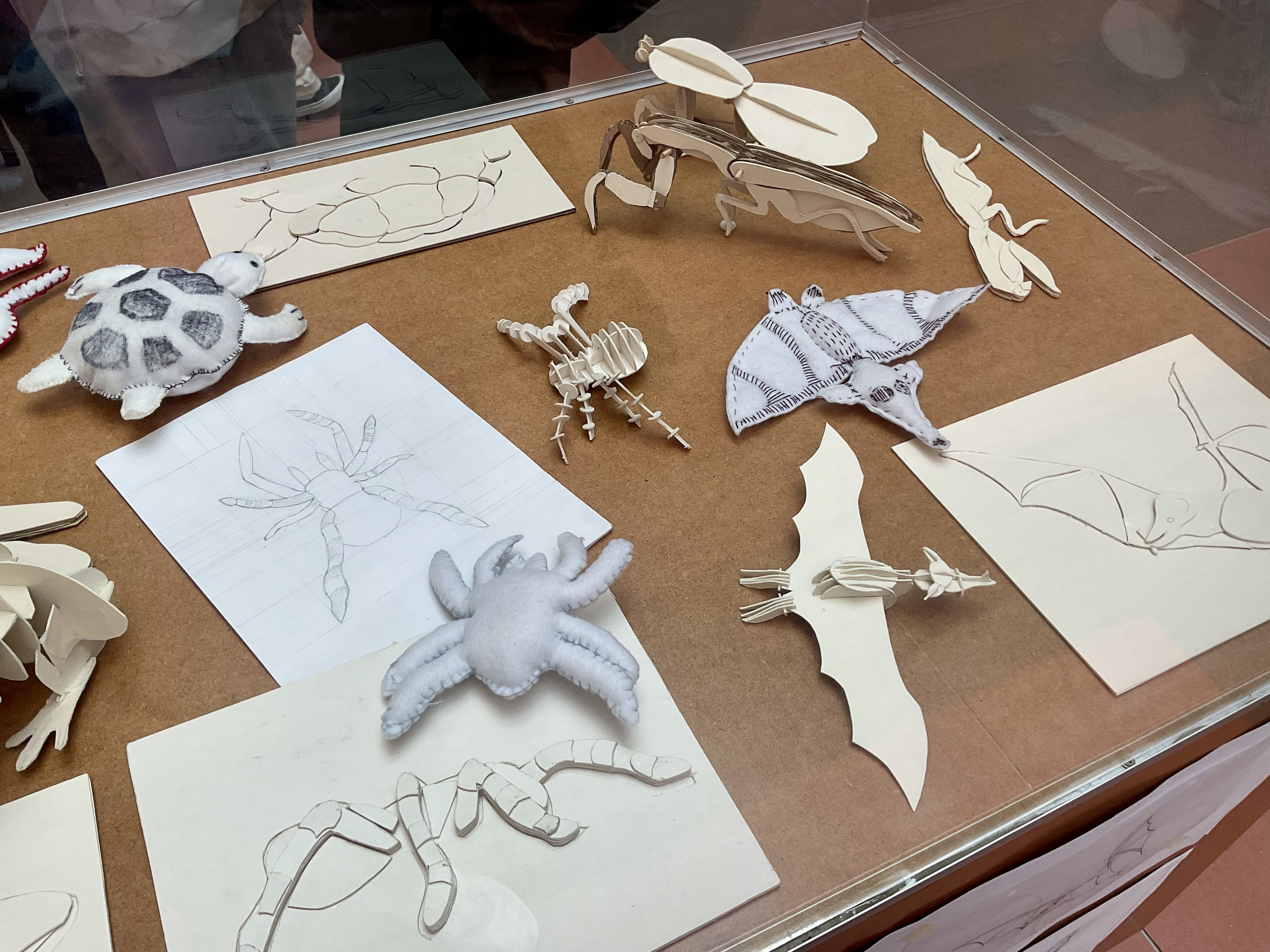Imagen del laboratorio